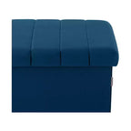 Blue Velvet Cushioned Accent Storage Ottoman