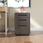 Mobile File Cabinet with Lock All-Steel Fully Assembled, Anti-Tip Design & Locking Casters, Fits A4/Letter, for Home/Office (Black)