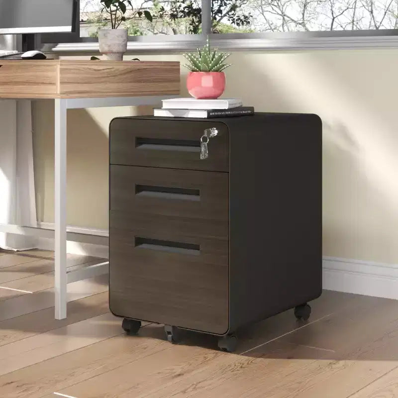 Mobile File Cabinet with Lock All-Steel Fully Assembled, Anti-Tip Design & Locking Casters, Fits A4/Letter, for Home/Office (Black)