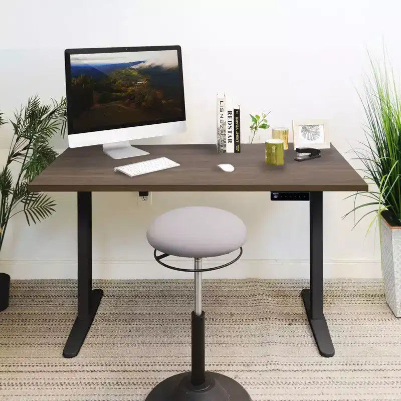 Electric Sit-Stand Desk with Tabletop