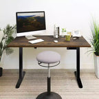 Electric Sit-Stand Desk with Tabletop